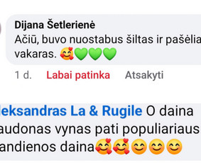 Muzikantai, atlikėjai, vedėjas / Aleksandras La & Rugilė / Darbų pavyzdys ID 4063965