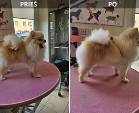 Išmaudytas ir iššukuotas, iššukuotos sąvėlos