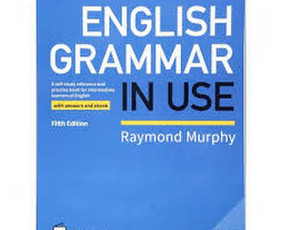CV, motyvacinio laiško anglų kalba rengimas - Šnekamoji anglų kalba - 3