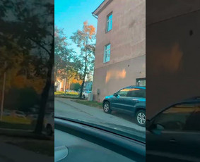 Kuno Masažas Vilniuje / Kūno Masažas Vilniuje / Darbų pavyzdys ID 4064621