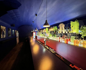 Naktinio klubo - baro, nuoma privačioms šventėms. / MOJITOS / Darbų pavyzdys ID 4065367