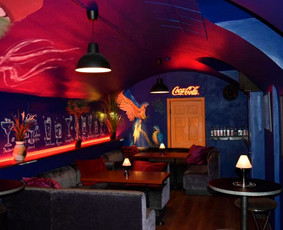 Naktinio klubo - baro, nuoma privačioms šventėms. / MOJITOS / Darbų pavyzdys ID 4065389