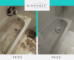 Ekologinis valymas “Biolifecleaning Kompensaciniai ekologin - Valymo paslaugos - 4 Valymo paslaugos - Ekologinis valymas “Biolifecleaning Kompensaciniai ekologin - 4