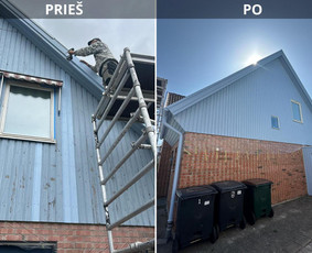 Visi vidaus ir lauko darbai / Konstantinas / Darbų pavyzdys ID 4066025