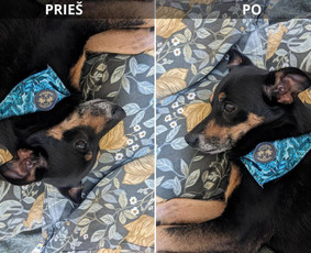 Kaitlentės pajungimas - Paslaugos - 1