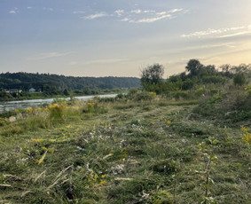 Sklypų, Dnsb pjovimas, priežiūra, gerbūvio darbai - Pievų šienavimas - 1 Pievų šienavimas - Sklypų, Dnsb pjovimas, priežiūra, gerbūvio darbai - 1