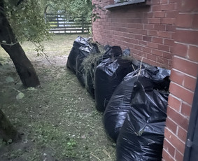 Sklypų, Dnsb pjovimas, priežiūra, gerbūvio darbai / Vytas Bukaitis / Darbų pavyzdys ID 4063987