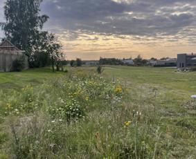 Sklypų, Dnsb pjovimas, priežiūra, gerbūvio darbai / Vytas Bukaitis / Darbų pavyzdys ID 4040105