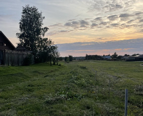 Sklypų, Dnsb pjovimas, priežiūra, gerbūvio darbai / Vytas Bukaitis / Darbų pavyzdys ID 4040103