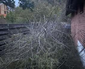 Sklypų, Dnsb pjovimas, priežiūra, gerbūvio darbai / Vytas Bukaitis / Darbų pavyzdys ID 4063983