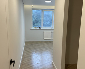 Butų, namų, patalpų remonto ir apdailos darbai / Владимир / Darbų pavyzdys ID 4067165