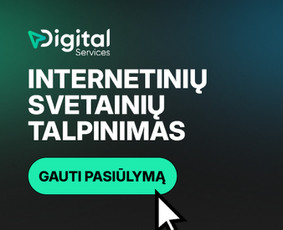 Svetainių talpinimas (Hosting) - Svetainių ir el. parduotuvių kūrimas - 1