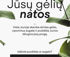 Top įvertinimai - Internetinių Tinklapių Kūrimas - Interneto svetainių kūrimas - 1 Interneto svetainių kūrimas - Top įvertinimai - Internetinių Tinklapių Kūrimas - 1