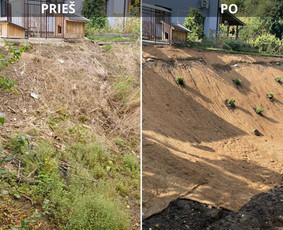 Apleistų sklypų tvarkymas - Aplinkos tvarkymas, apželdinimas - 2