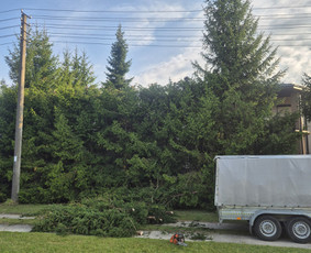 Medžių pjovimas, genėjimas. Aplinkos,miškų priežiūra / MB "Miškų Vilkai" / Darbų pavyzdys ID 4068527