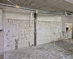 Griovimo darbai šiukšliu išvežimas / Audrius / Darbų pavyzdys ID 4028827