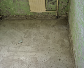 Griovimo darbai šiukšliu išvežimas / Audrius / Darbų pavyzdys ID 4056413