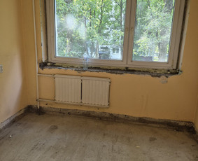 Griovimo darbai šiukšliu išvežimas / Audrius / Darbų pavyzdys ID 4056419