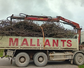 Keturašio savivarčio su kranu ir greiferiniu kaušu paslaukos - Statybinių atliekų išvežimas - 3 Statybinių atliekų išvežimas - Keturašio savivarčio su kranu ir greiferiniu kaušu paslaukos - 3