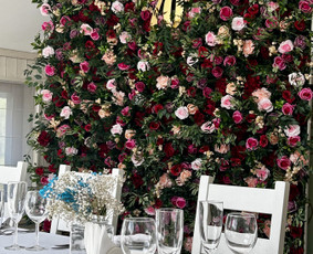 Arkos nuoma - Gėlių Foto Sienų ir dekoracijų nuoma Jūsų šventei - 4