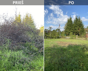 &Scaron;akų i&scaron;vežimas - Sklypų tvarkymas: medžių ir krūmų pjovimas su i&scaron;vežimu. - 4