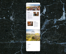 Paslaugos verslui - Vos nuo 150e svetainių, puslapių / e.shopų kūrimas - 2