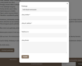 Reprezentacinės svetainės ir el. parduotuvės, programavimas - Programavimas su WordPress - 2 Programavimas su WordPress - Reprezentacinės svetainės ir el. parduotuvės, programavimas - 2