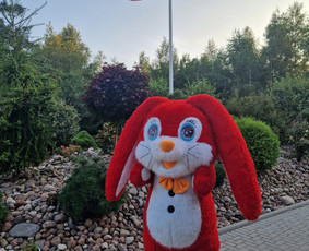 Kaimo turizmo sodybos nuoma / Alfredas Volskis / Darbų pavyzdys ID 4071175