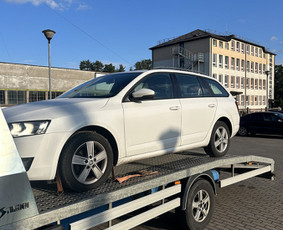 Automobiliu bei kroviniu pervežimas / Darius / Darbų pavyzdys ID 4063063