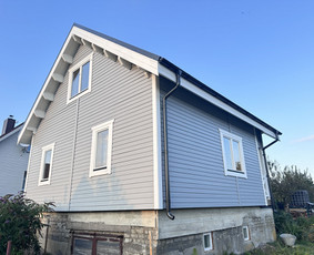 Fasadų dažymo darbai / Doistata / Darbų pavyzdys ID 4073031