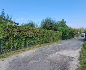 Tuju,gyvatvoriu karpymas,žeminimas,formavimas / Vitalijus Juodaitis / Darbų pavyzdys ID 4073329