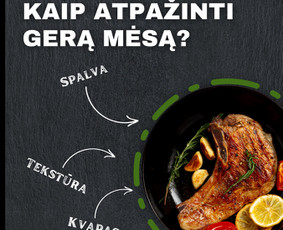 Greitai ir kokybiškai sukursiu logo, banerį, vizitinę ir kt. / Augustė Trukša / Darbų pavyzdys ID 4073799