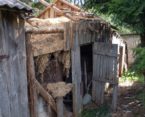 Šiukšliu nereikalingų daiktų, statybinių atliekų išvežimas - Buitinės technikos išvežimas - 2 Buitinės technikos išvežimas - Šiukšliu nereikalingų daiktų, statybinių atliekų išvežimas - 2