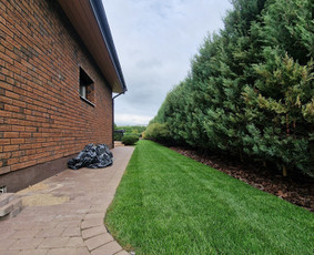 Žolės pjovimas - Vejos pjovimas profesionaliomis vejapjovėmis - 2