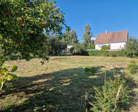 Pievų šienavimas - Vejos pjovimas profesionaliomis vejapjovėmis - 1