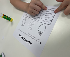 Logopedai - Logopedo, specialiojo pedagogo užsiėmimai - 2