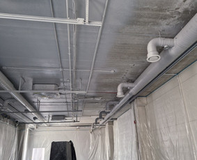 Statybos, apdaila - Patalpų, fasadų, konstrukcijų, stogų plovimas ir dažymas - 4