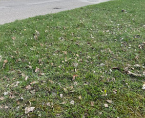 Matininko paslaugos, Riboženklių atstatymas - Statybos, apdaila - 2 Statybos, apdaila - Matininko paslaugos, Riboženklių atstatymas - 2