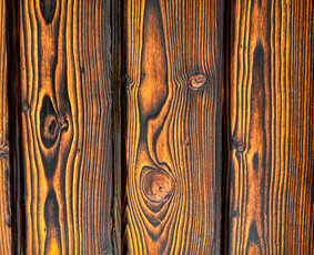 Deginta mediena ir deginta termo mediena / Dovydas Pranckevičius / Darbų pavyzdys ID 4076703