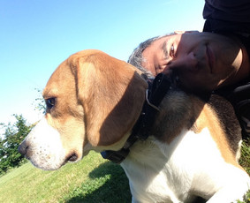 Sunu Vedžiojimo Paslaugos - Kitos įvairios paslaugos - 1 Kitos įvairios paslaugos - Sunu Vedžiojimo Paslaugos - 1