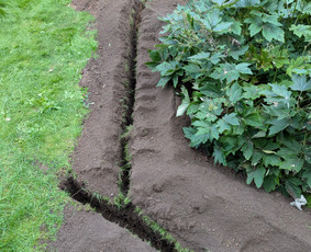 Tranšėjų kasimas - Tranšėjų kasimas Kelmų šalinimas Medžio smulkinimas - 4