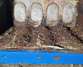 Dujinių katilų remontas ir priežiūra - Šildymo katilų techninis aptarnavimas - 2 Šildymo katilų techninis aptarnavimas - Dujinių katilų remontas ir priežiūra - 2