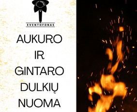 Vedėjas Gediminas Babelis, Dj, pramogos / Eventofonas / Darbų pavyzdys ID 4079535
