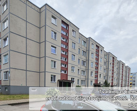 Nuo idėjos iki pilno vizualinio identiteto sprendimai. / Eglė Simona Vilkė / Darbų pavyzdys ID 4079609
