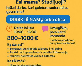 Nuo idėjos iki pilno vizualinio identiteto sprendimai. / Eglė Simona Vilkė / Darbų pavyzdys ID 4079657
