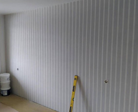 Vidaus apdaila - Glaistymo,tinkavimo,dažymo darbai / Mb kraunamviska / Darbų pavyzdys ID 4079997