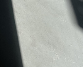 Interjero sienų/lubų/objektų dekoravimas - Dekoratyvinis tinkavimas - 1 Dekoratyvinis tinkavimas - Interjero sienų/lubų/objektų dekoravimas - 1