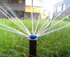 Drenažo įrengimas - Įrenk savo svajonių sodą su Medelynu Flora - 2