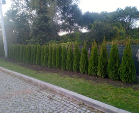 Įrenk savo svajonių sodą su Medelynu Flora / Medelynas Flora / Darbų pavyzdys ID 4082179