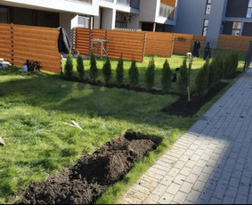 Įrenk savo svajonių sodą su Medelynu Flora / Medelynas Flora / Darbų pavyzdys ID 4082205